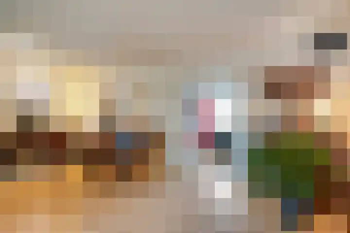 De Koningsvaren 82 Dedemsvaart thumbnail 21