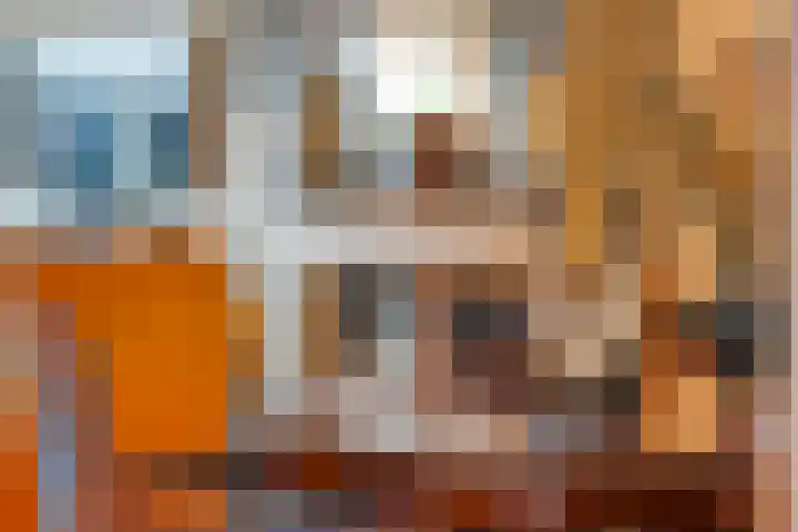 De Koningsvaren 82 Dedemsvaart thumbnail 22