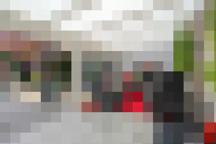 De Koningsvaren 82 Dedemsvaart thumbnail 26