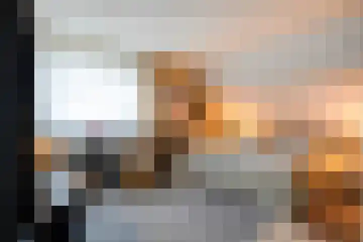De Koningsvaren 82 Dedemsvaart thumbnail 28