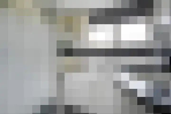 De Koningsvaren 82 Dedemsvaart thumbnail 30