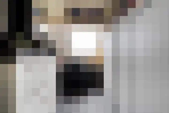 De Koningsvaren 82 Dedemsvaart thumbnail 33