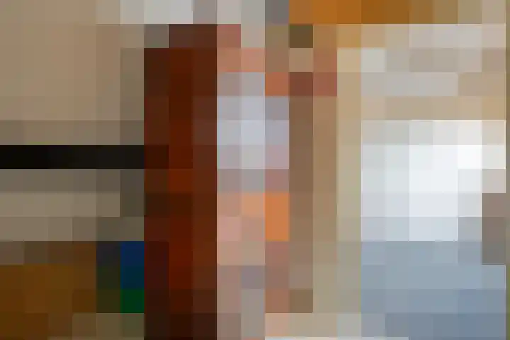 De Koningsvaren 82 Dedemsvaart thumbnail 37