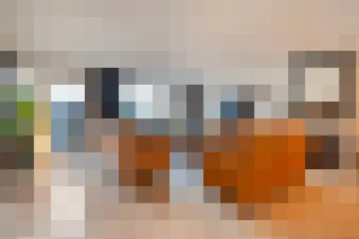 De Koningsvaren 82 Dedemsvaart thumbnail 4