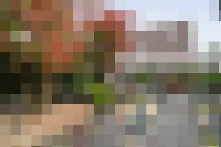 De Koningsvaren 82 Dedemsvaart thumbnail 41
