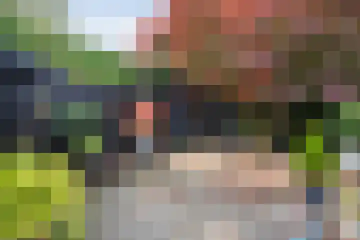 De Koningsvaren 82 Dedemsvaart thumbnail 42