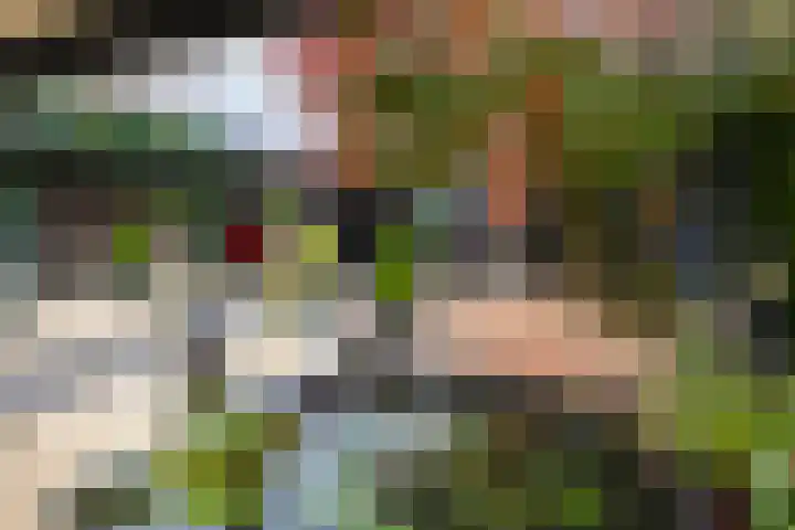 De Koningsvaren 82 Dedemsvaart thumbnail 43