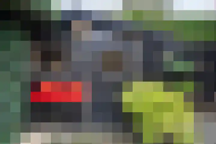 De Koningsvaren 82 Dedemsvaart thumbnail 44