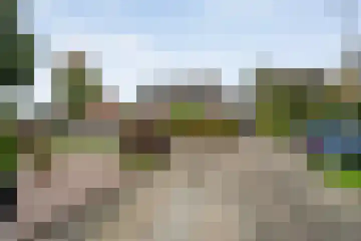 De Koningsvaren 82 Dedemsvaart thumbnail 46