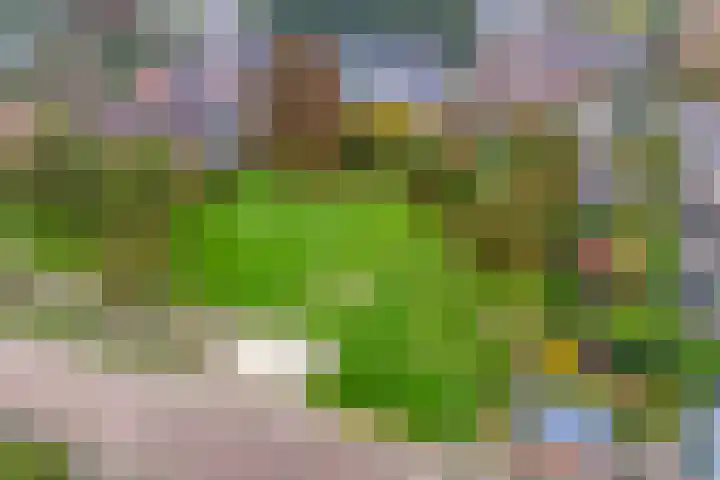De Koningsvaren 82 Dedemsvaart thumbnail 47