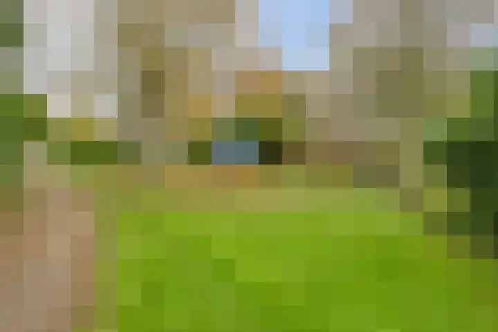 De Koningsvaren 82 Dedemsvaart thumbnail 48