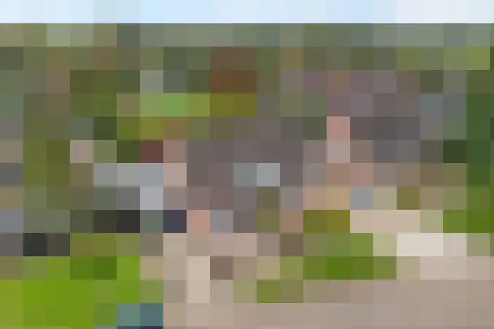 De Koningsvaren 82 Dedemsvaart thumbnail 5