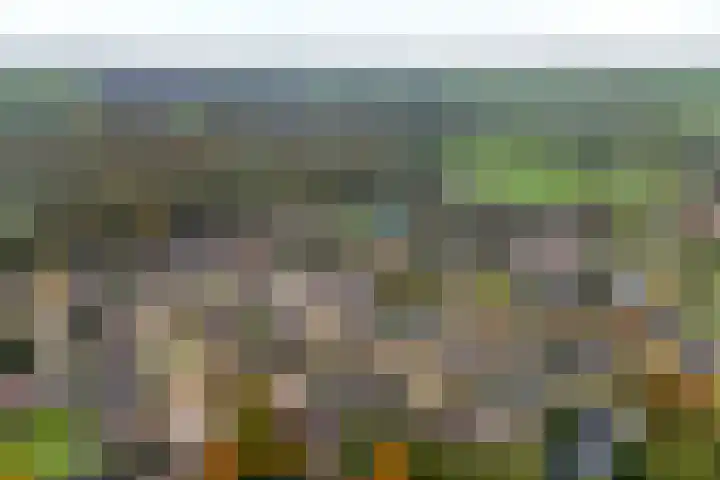 De Koningsvaren 82 Dedemsvaart thumbnail 6