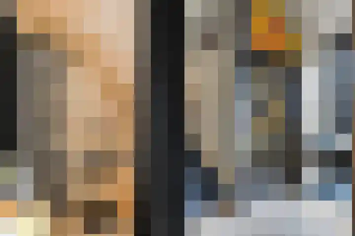 De Koningsvaren 82 Dedemsvaart thumbnail 9