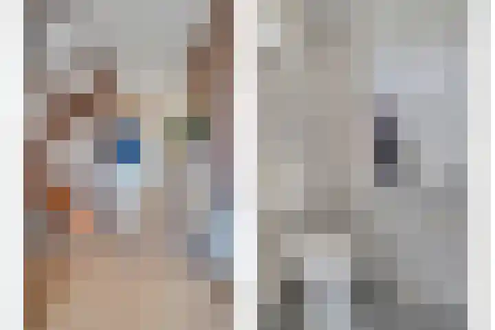 De Koningsvaren 84 Dedemsvaart thumbnail 10