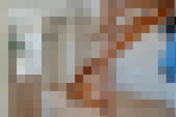 De Koningsvaren 84 Dedemsvaart thumbnail 11