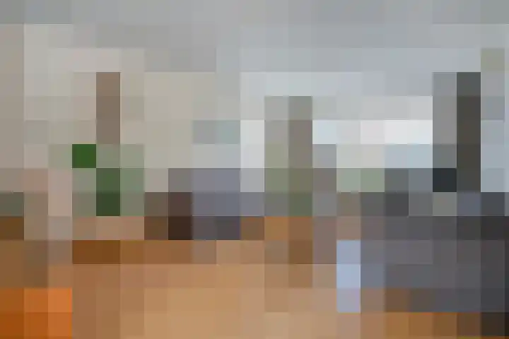 De Koningsvaren 84 Dedemsvaart thumbnail 12