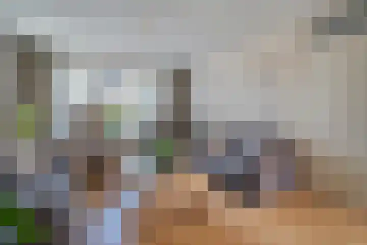 De Koningsvaren 84 Dedemsvaart thumbnail 13