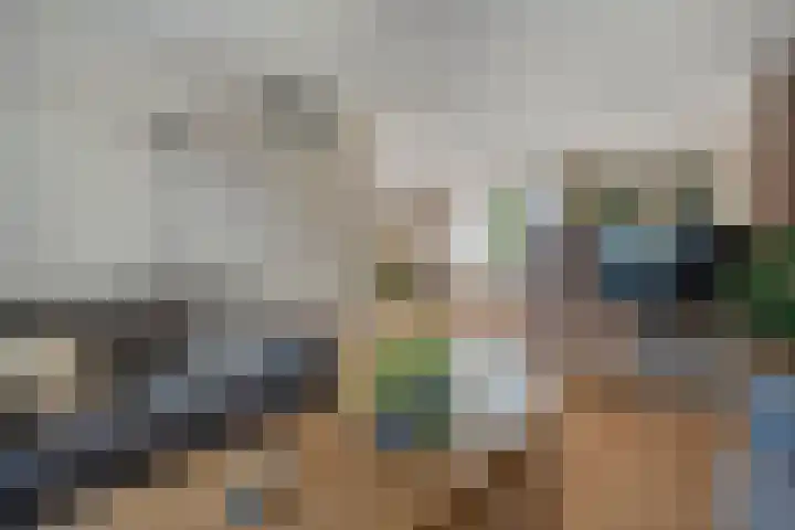 De Koningsvaren 84 Dedemsvaart thumbnail 14