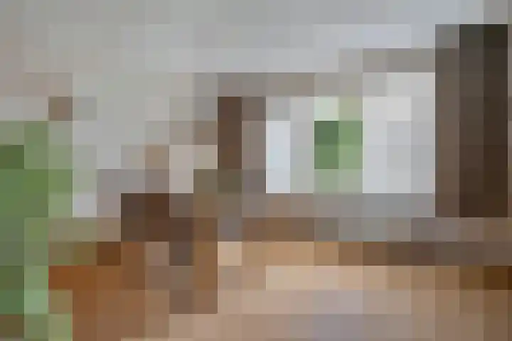 De Koningsvaren 84 Dedemsvaart thumbnail 15