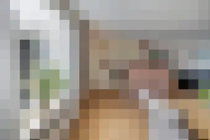 De Koningsvaren 84 Dedemsvaart thumbnail 16