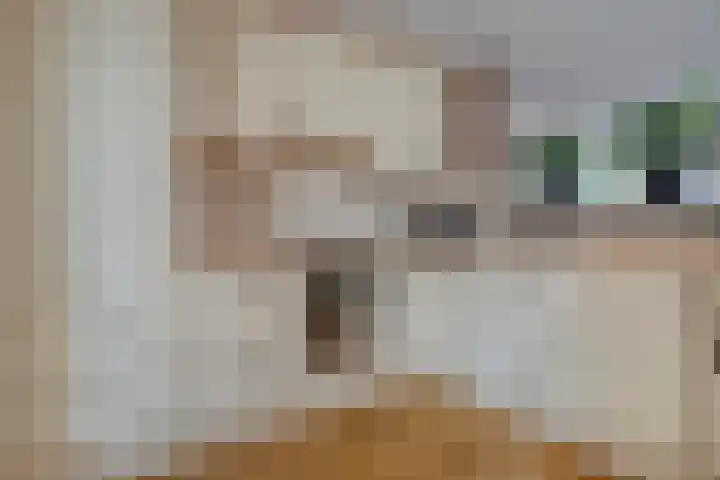 De Koningsvaren 84 Dedemsvaart thumbnail 17