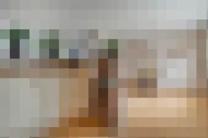 De Koningsvaren 84 Dedemsvaart thumbnail 18