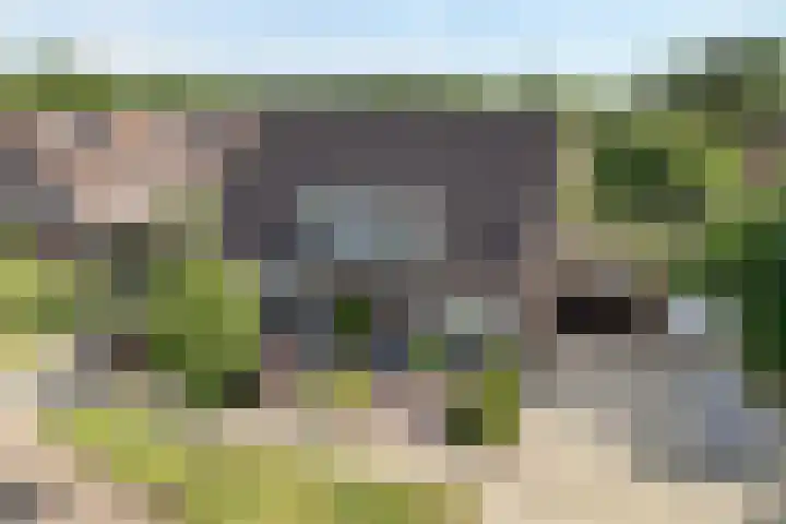 De Koningsvaren 84 Dedemsvaart foto 2