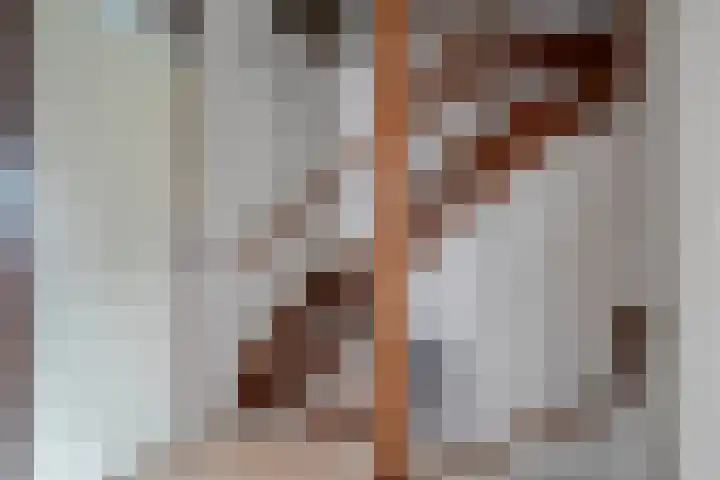 De Koningsvaren 84 Dedemsvaart thumbnail 21