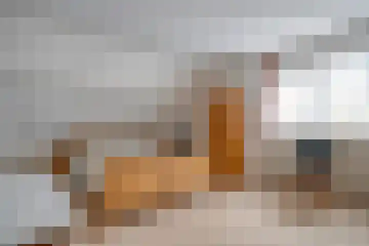 De Koningsvaren 84 Dedemsvaart thumbnail 23