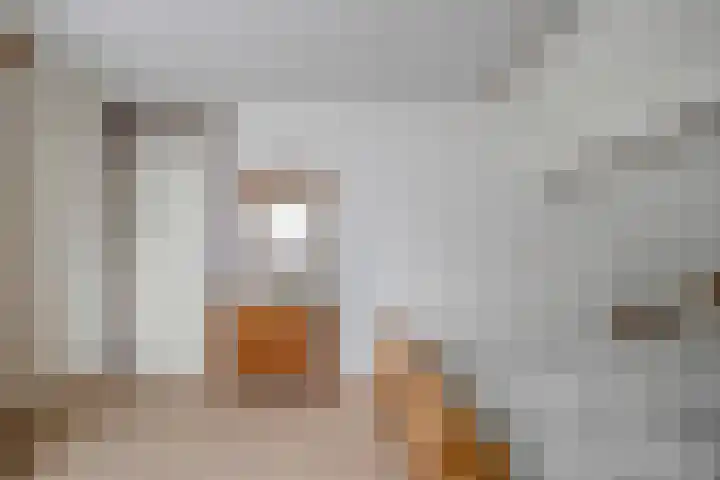 De Koningsvaren 84 Dedemsvaart thumbnail 24