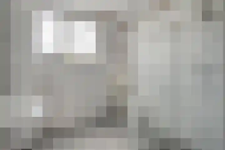 De Koningsvaren 84 Dedemsvaart thumbnail 27