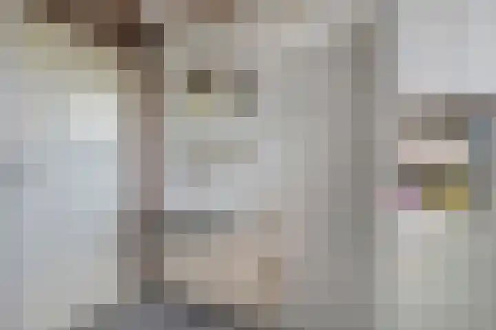 De Koningsvaren 84 Dedemsvaart thumbnail 28
