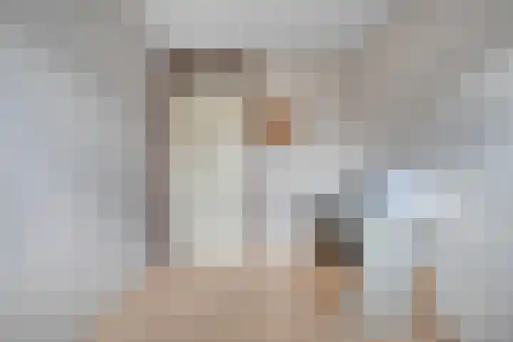 De Koningsvaren 84 Dedemsvaart thumbnail 30