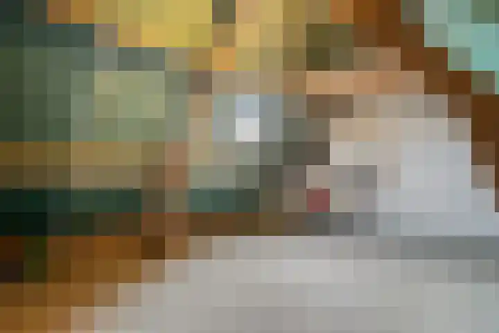 De Koningsvaren 84 Dedemsvaart thumbnail 31