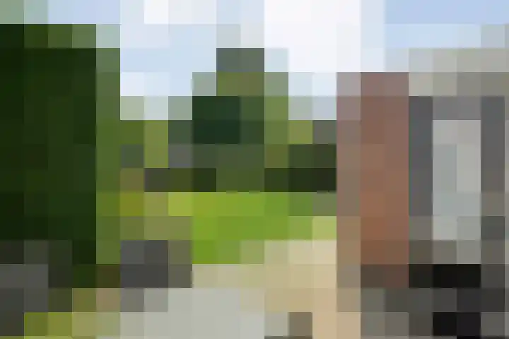 De Koningsvaren 84 Dedemsvaart thumbnail 34