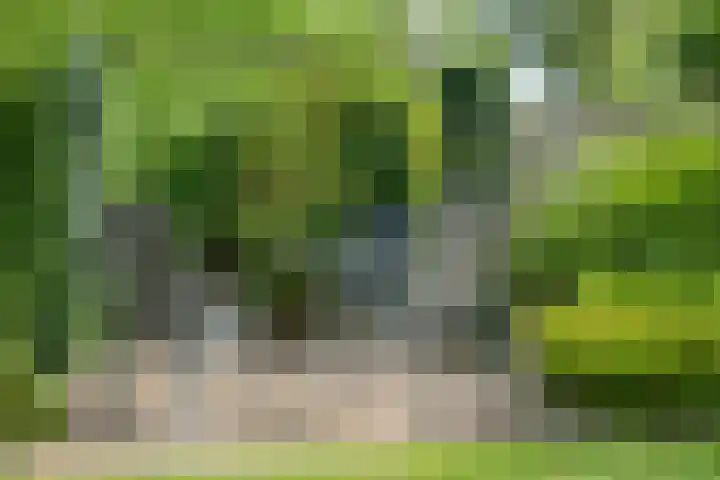 De Koningsvaren 84 Dedemsvaart thumbnail 37