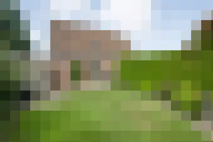 De Koningsvaren 84 Dedemsvaart thumbnail 38