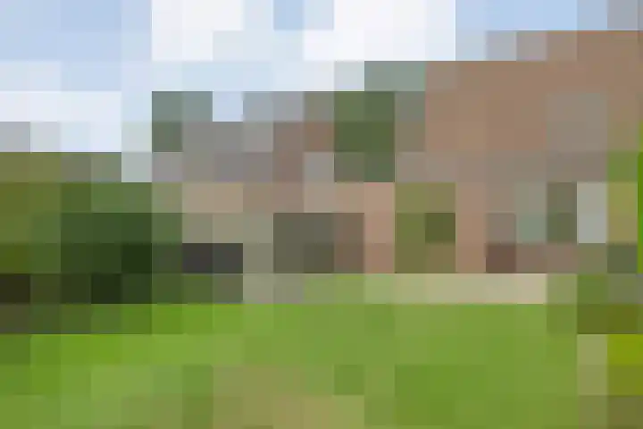 De Koningsvaren 84 Dedemsvaart thumbnail 39