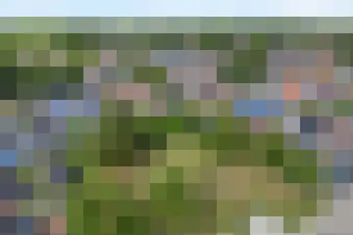 De Koningsvaren 84 Dedemsvaart thumbnail 4