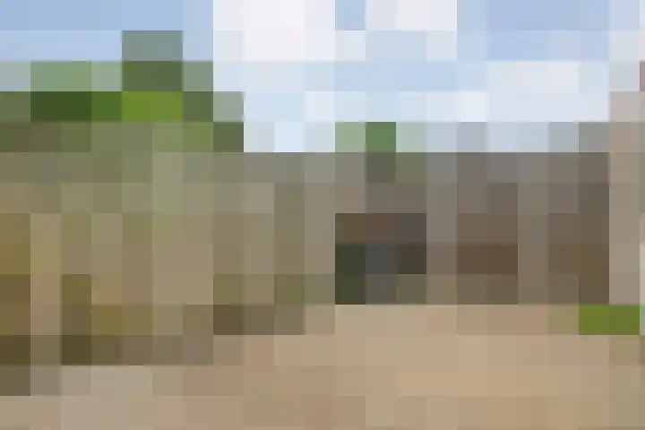 De Koningsvaren 84 Dedemsvaart thumbnail 40