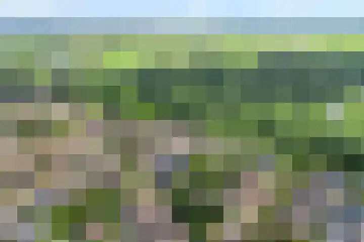 De Koningsvaren 84 Dedemsvaart thumbnail 5