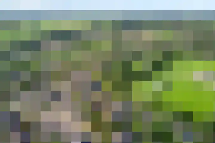 De Koningsvaren 84 Dedemsvaart thumbnail 6