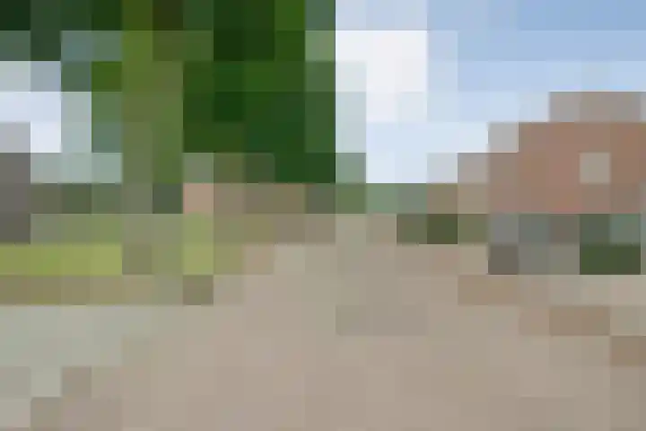 De Koningsvaren 84 Dedemsvaart thumbnail 7