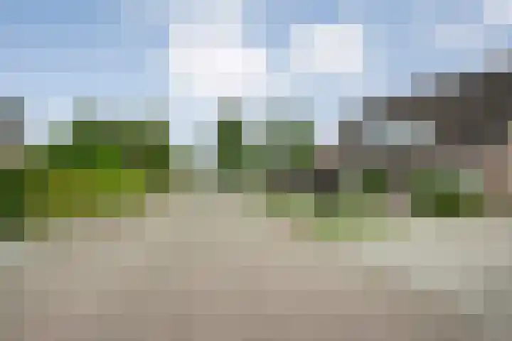 De Koningsvaren 84 Dedemsvaart thumbnail 8