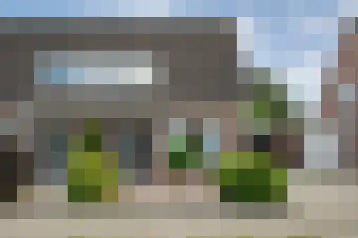 De Koningsvaren 84 Dedemsvaart thumbnail 9