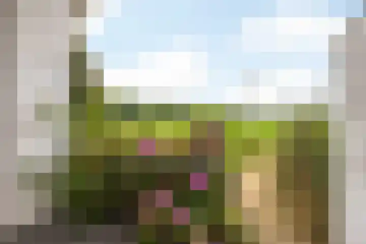 De Koningswinkel 15 Margraten thumbnail 10