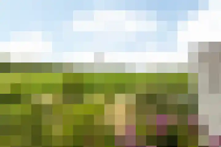 De Koningswinkel 15 Margraten thumbnail 11