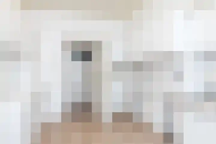 De Koningswinkel 15 Margraten thumbnail 18