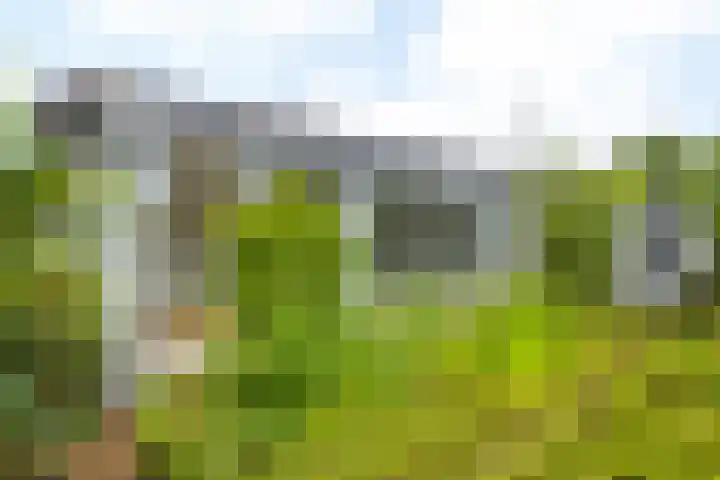 De Koningswinkel 15 Margraten thumbnail 28